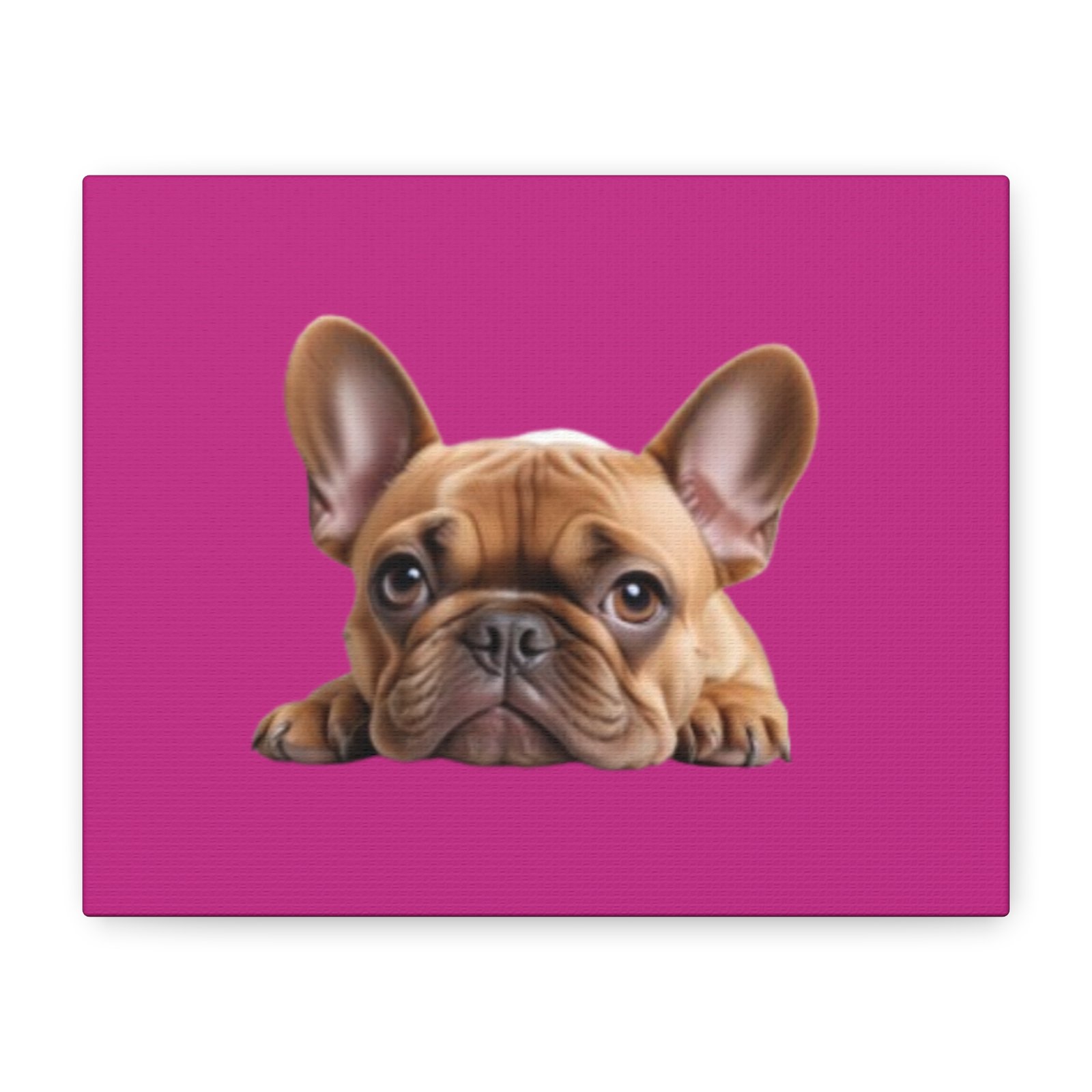 French Bull Dog Canvas Art - 1.25" Stretched Matte Print for Pet Lovers