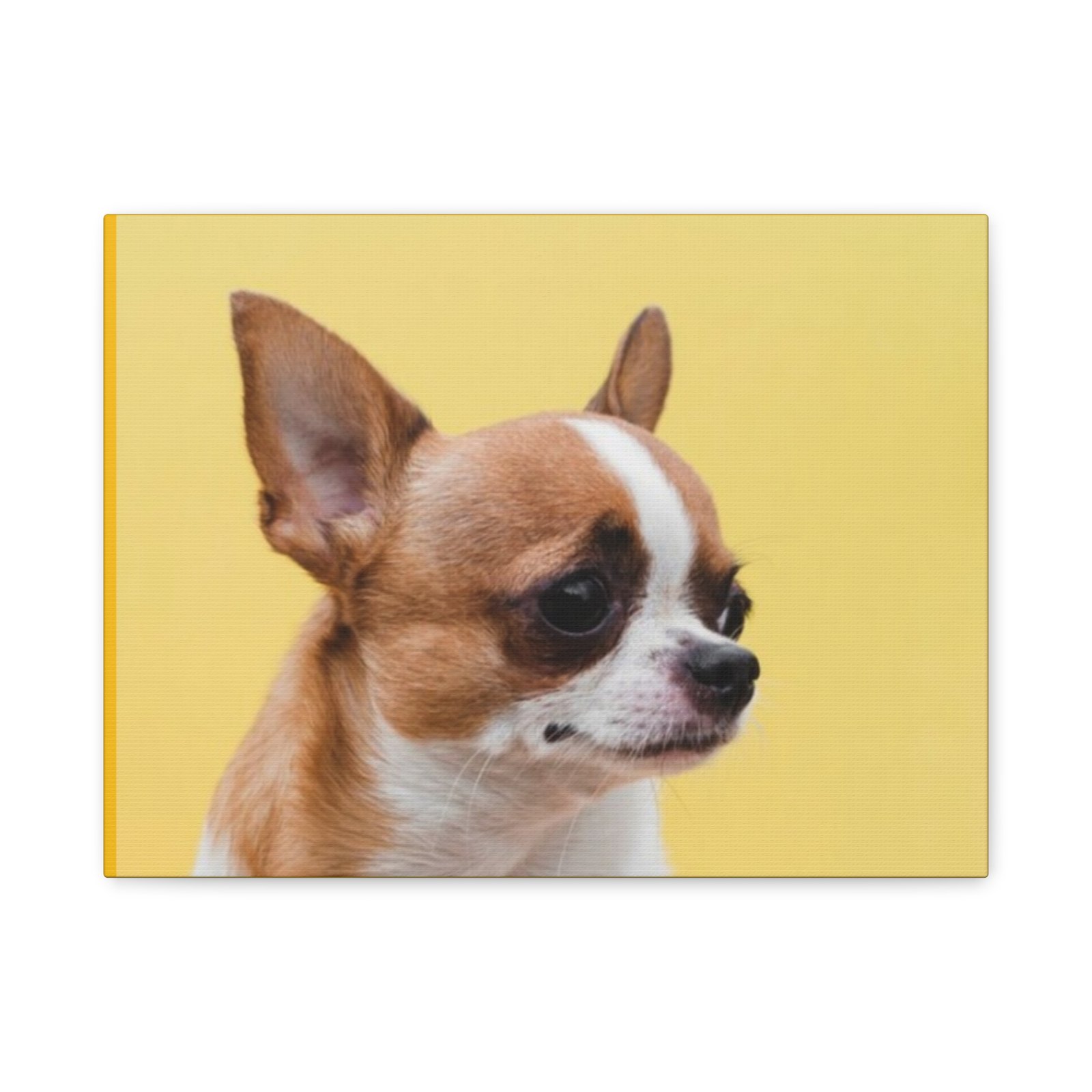 Chihuahua Dog Canvas Art - 1.25" Stretched Matte Print for Pet Lovers - Image 13