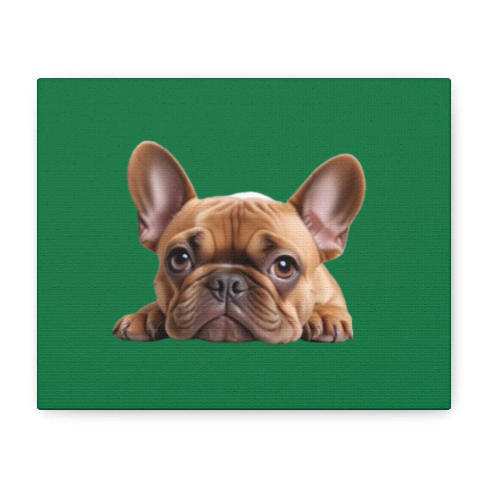 French Bull Dog Canvas Art - 1.25" Stretched Matte Print for Pet Lovers