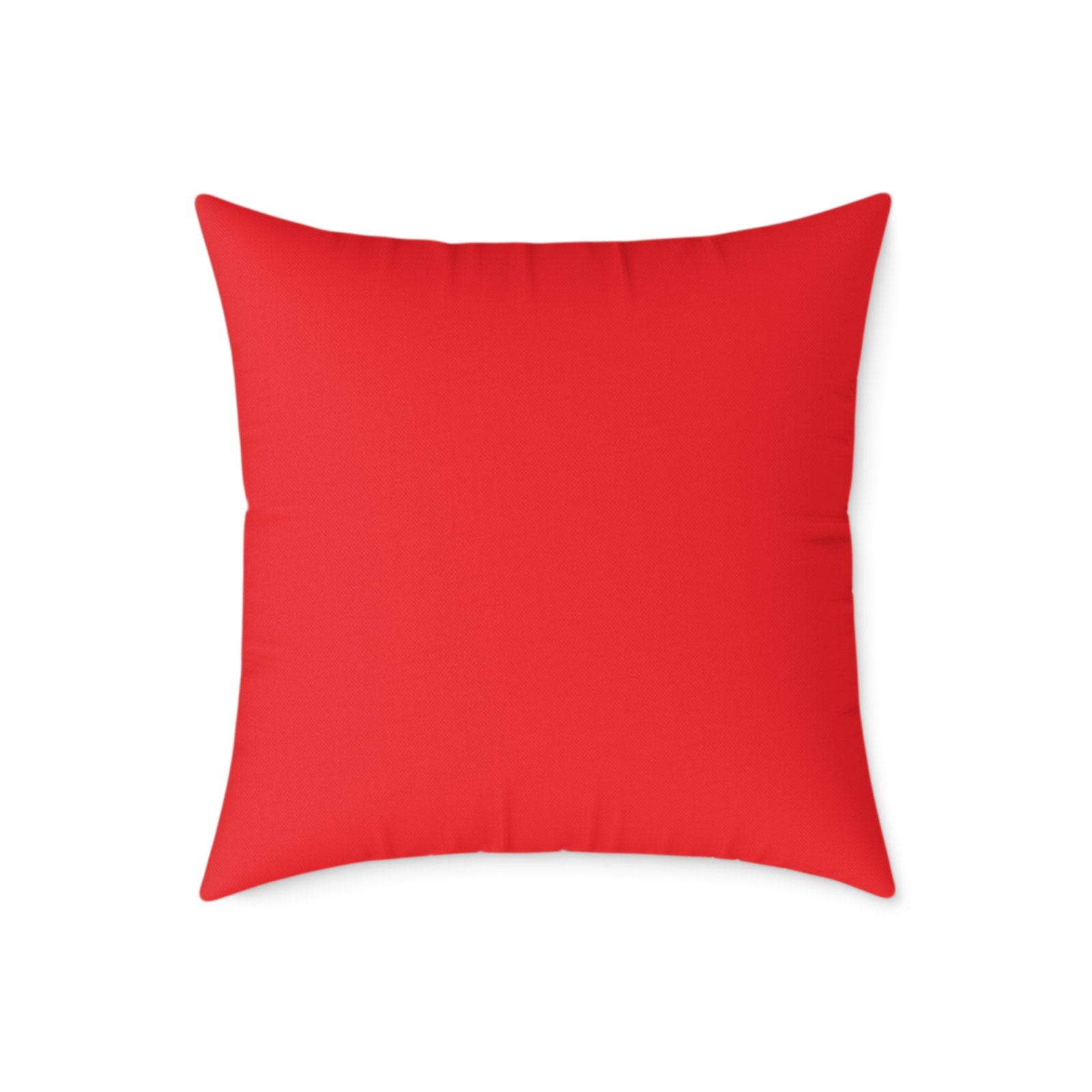 Catterpillar Square Poly Canvas Pillow - Image 14