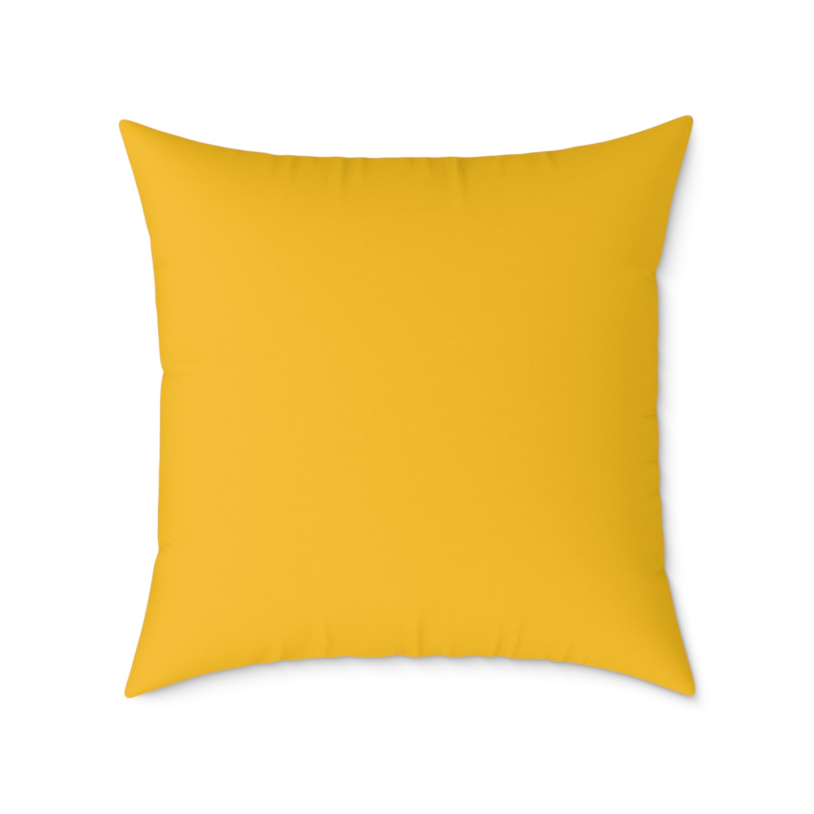 Bella Poly Canvas Pillow - Image 18