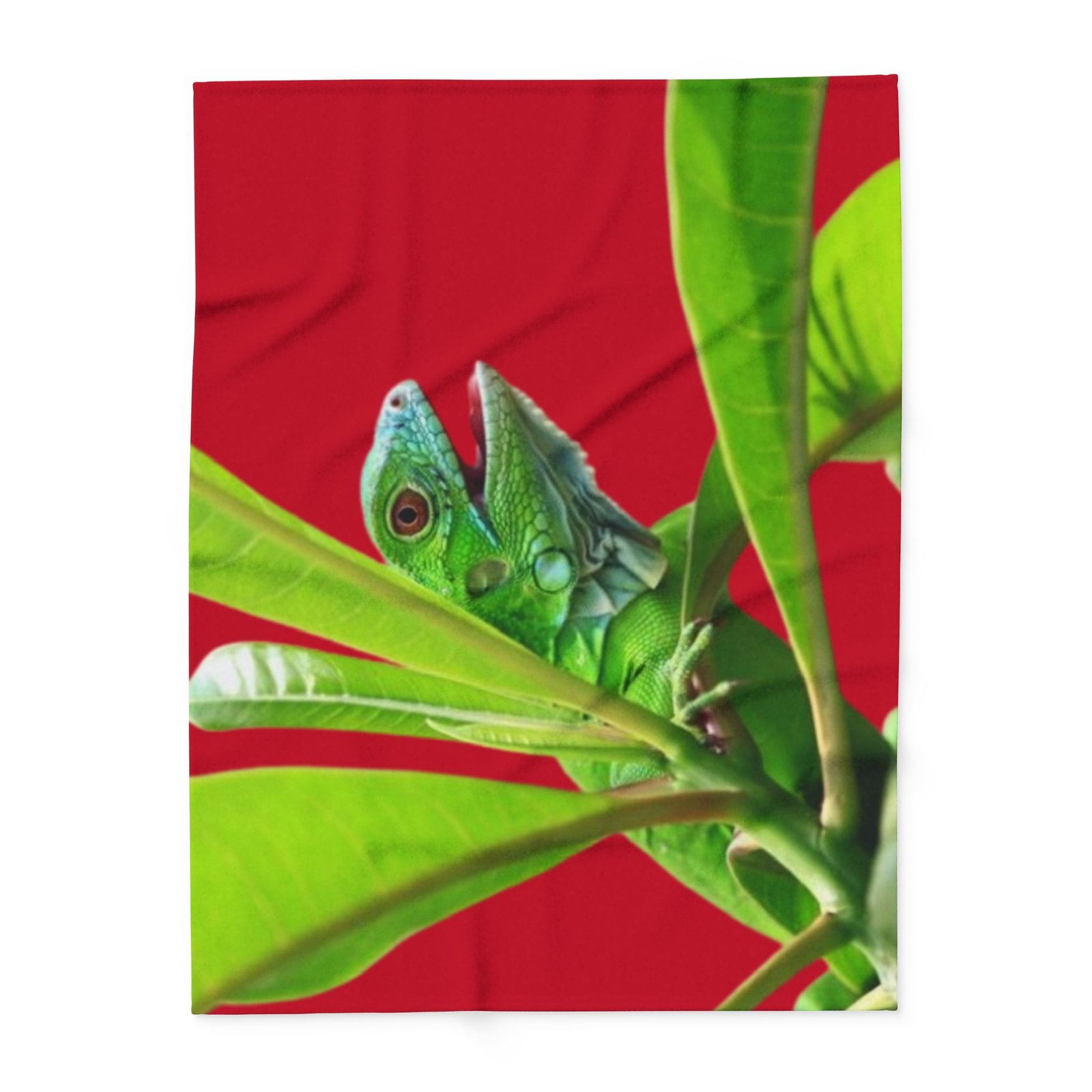 Blanket - Reptiles Frogs Lizards Bearded Dragons Gheko Water Dragons Iguanas Print - Image 9