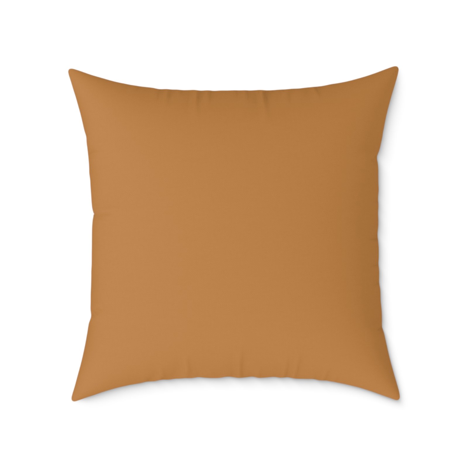 Spider Square Poly Canvas Pillow - Image 18