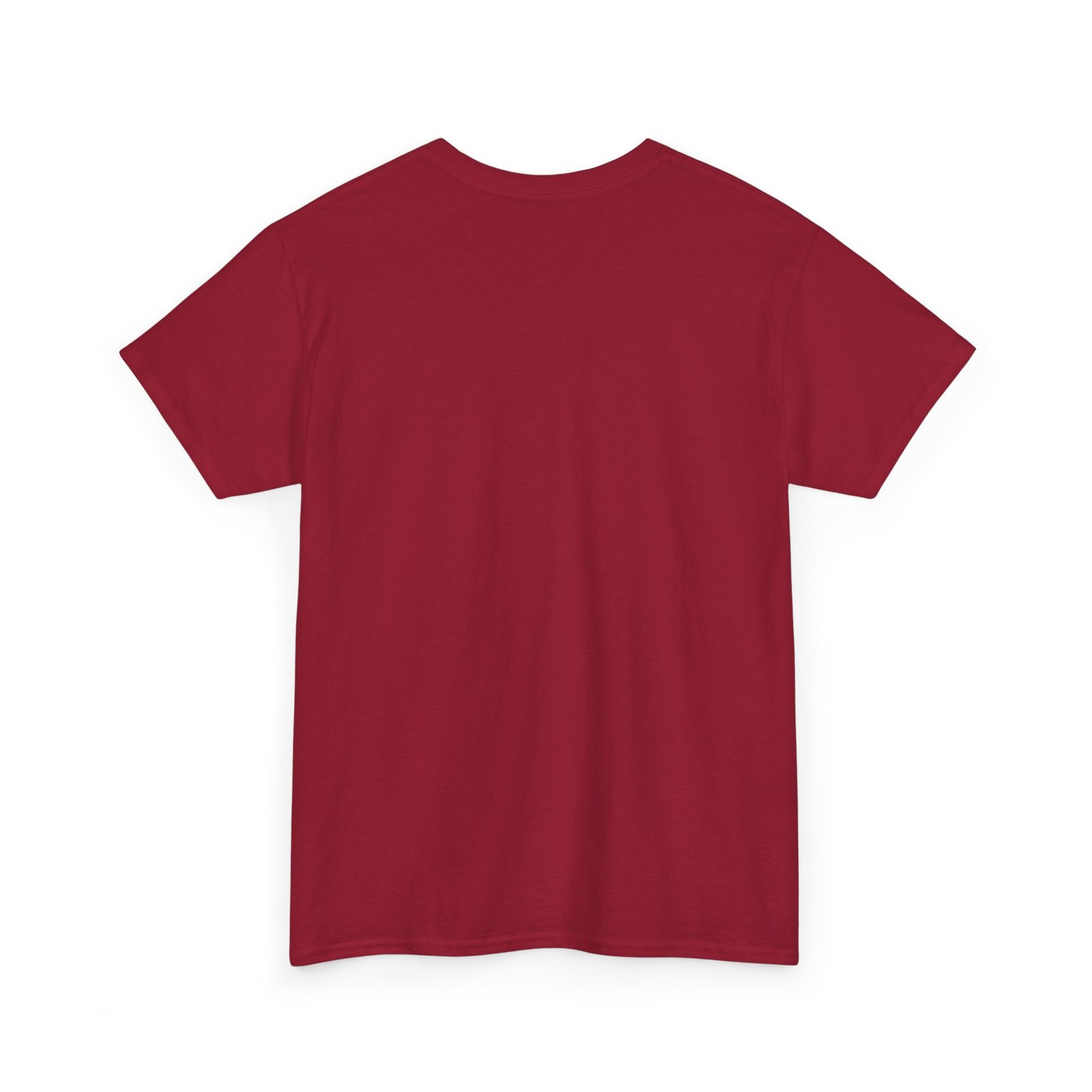 Zara Unisex Heavy Cotton Tee - Image 68