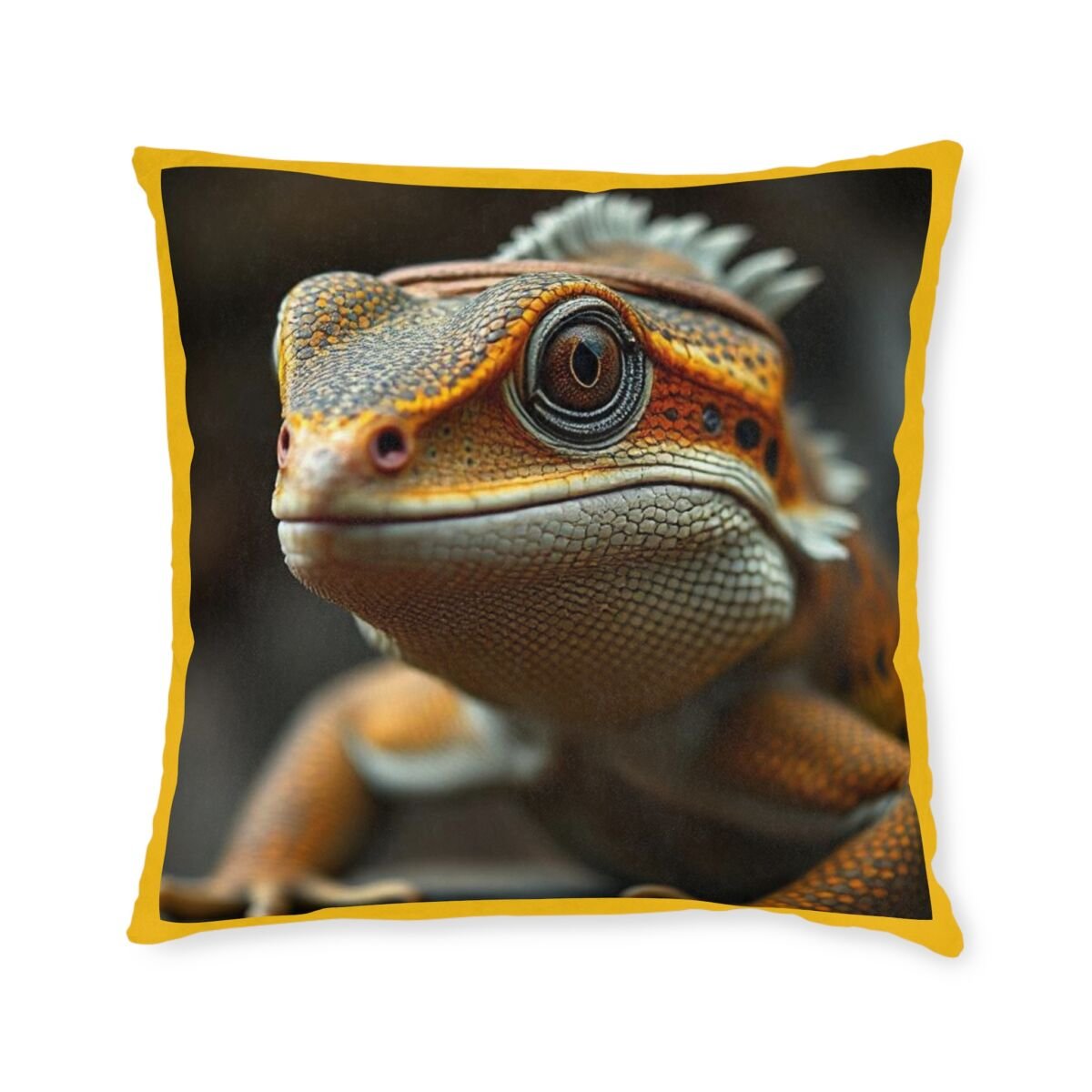Iguana lizard Bearded Dragon Gecko Chamelian Water Dragon - Image 5
