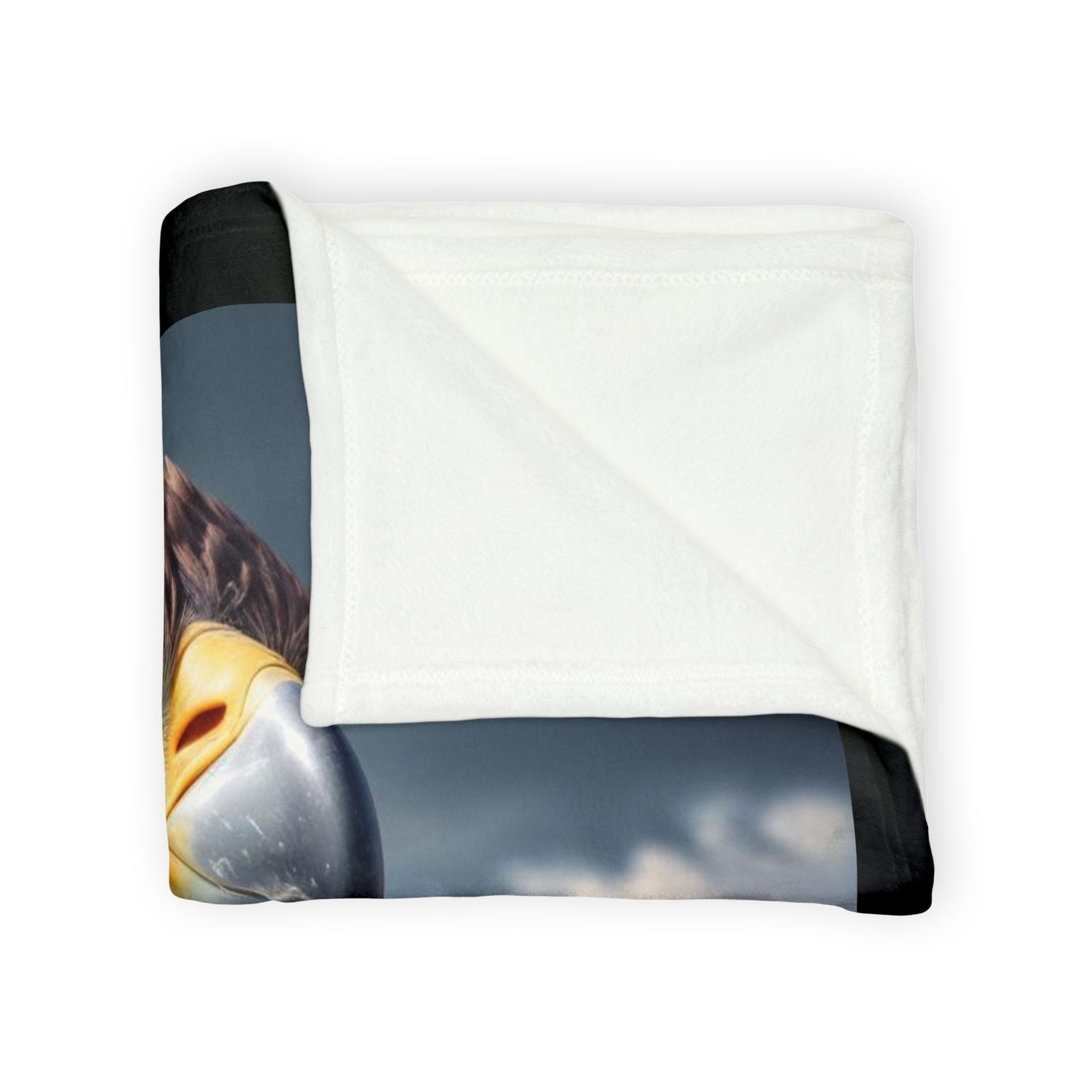Eagle Soft Polyester Blanket - Image 3